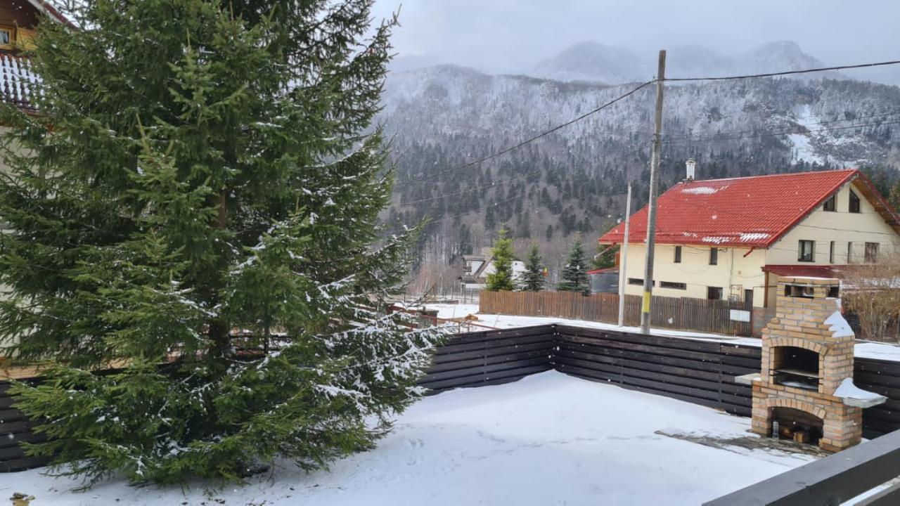 Nordic Chalet Sinaia Ngoại thất bức ảnh